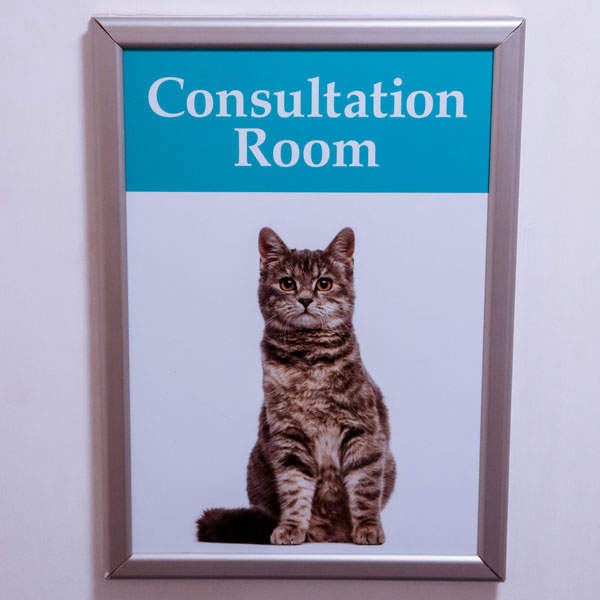 Hatherleigh-Vet-Consultation-Room