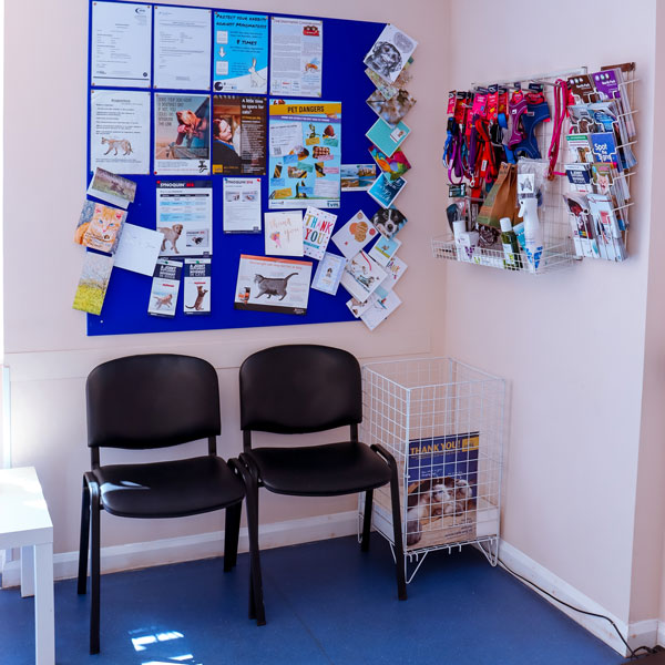 North-Tawton-Vets-waiting-room