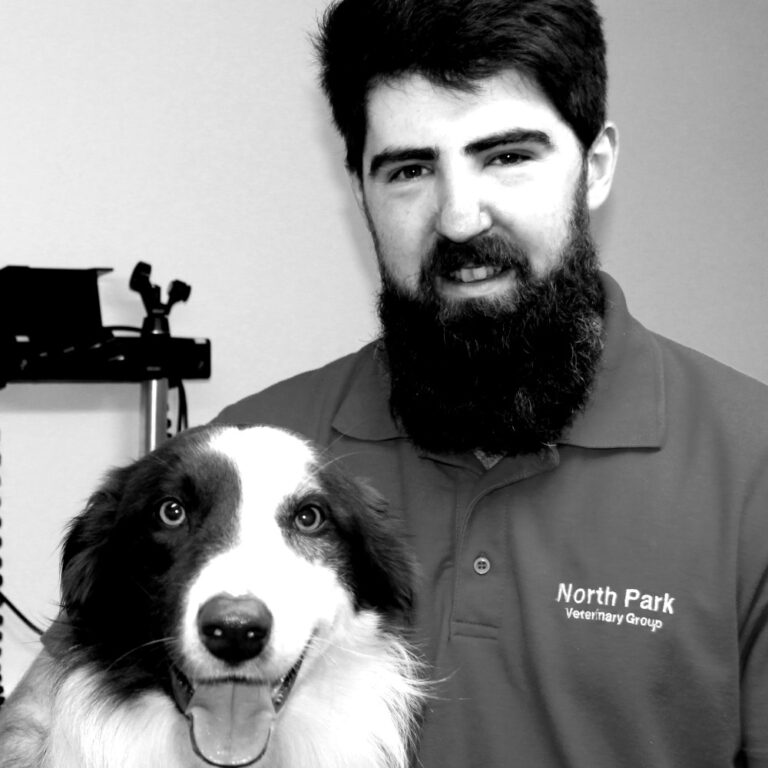 Veterinary Surgeons North Park Veterinary Group