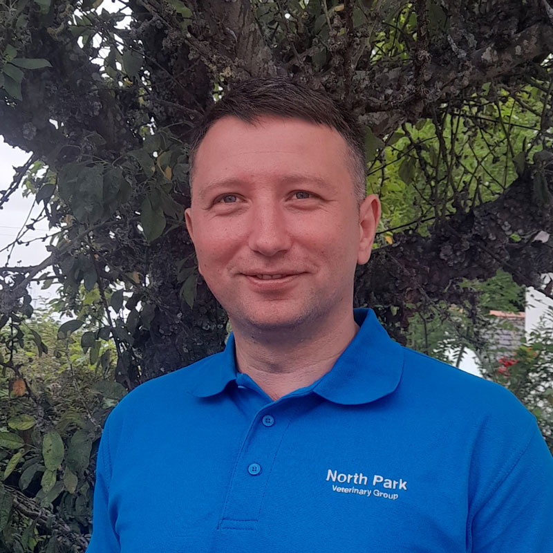 Cornel Daniliuc – North Park Vet