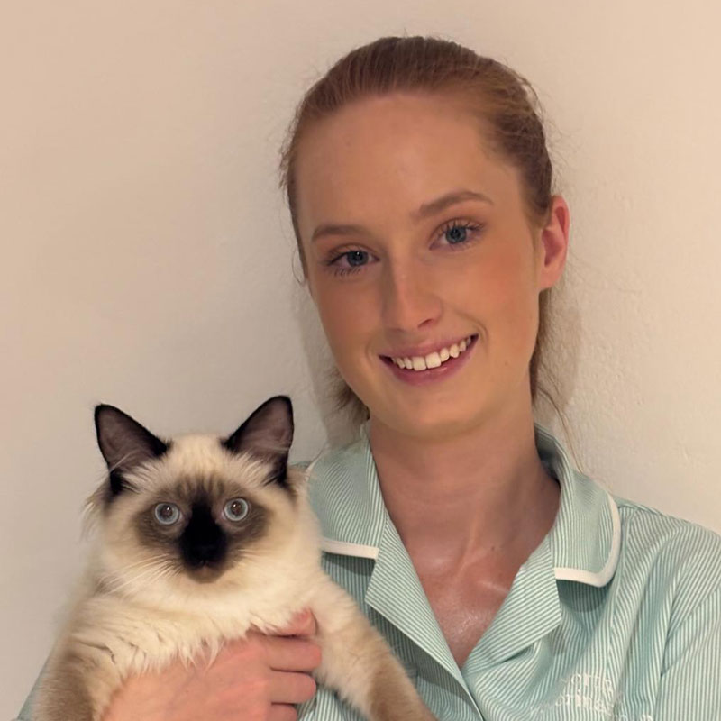 Sharni Cook – North Park Vets
